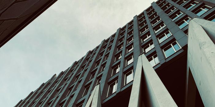 الأمر كله يتعلق بالإنتماء   